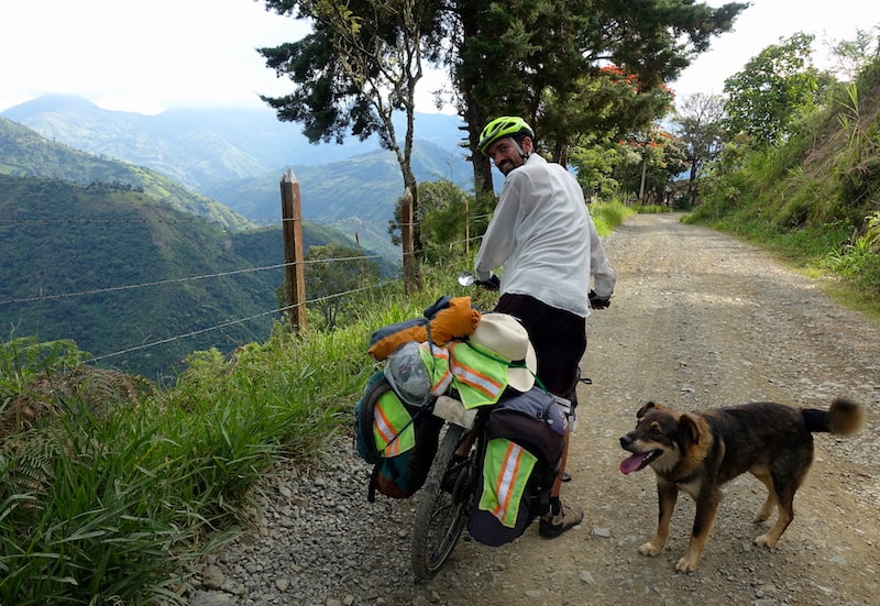 bike and dog